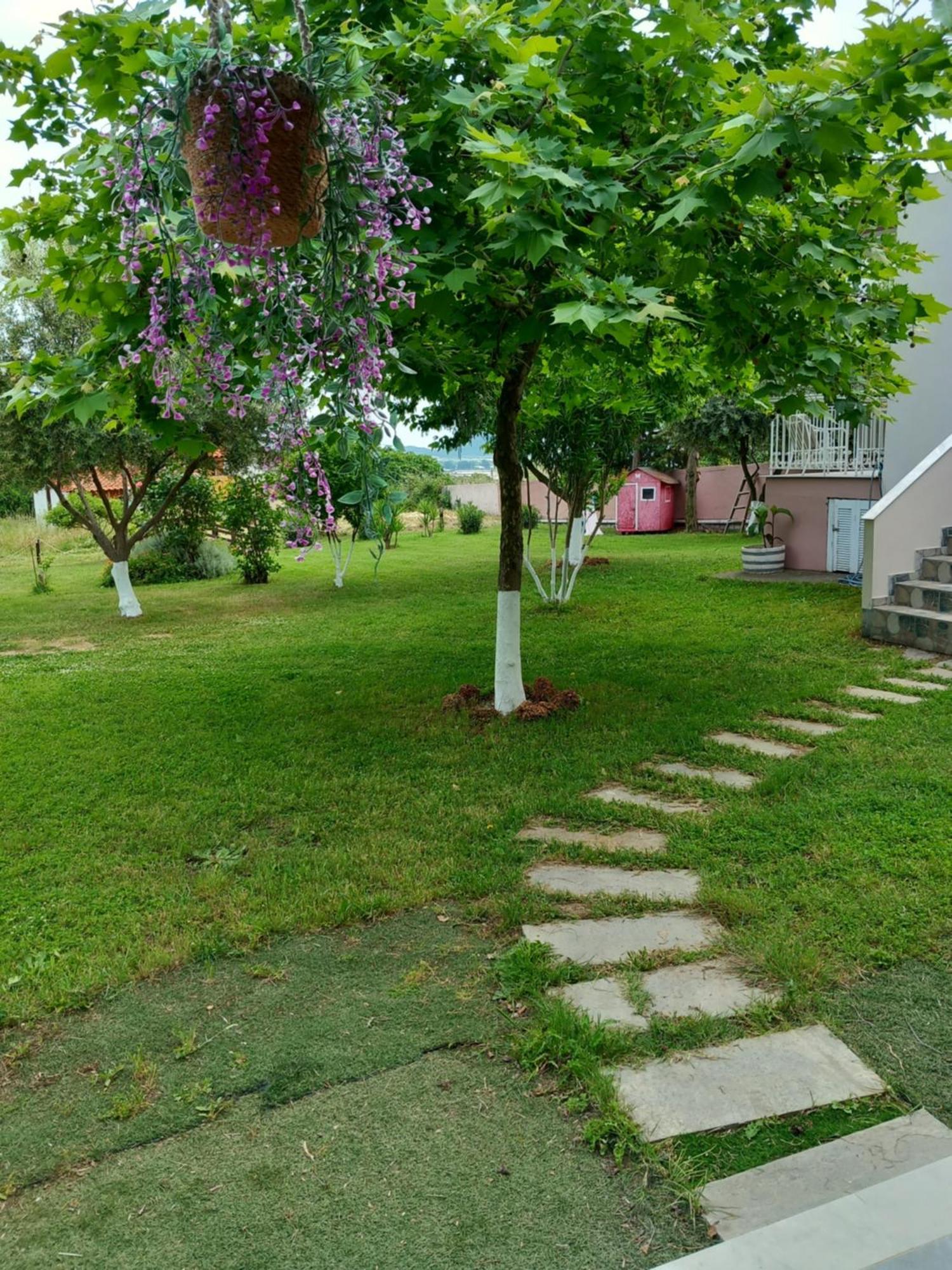 Green Meadow Elevtherai Zewnętrze zdjęcie